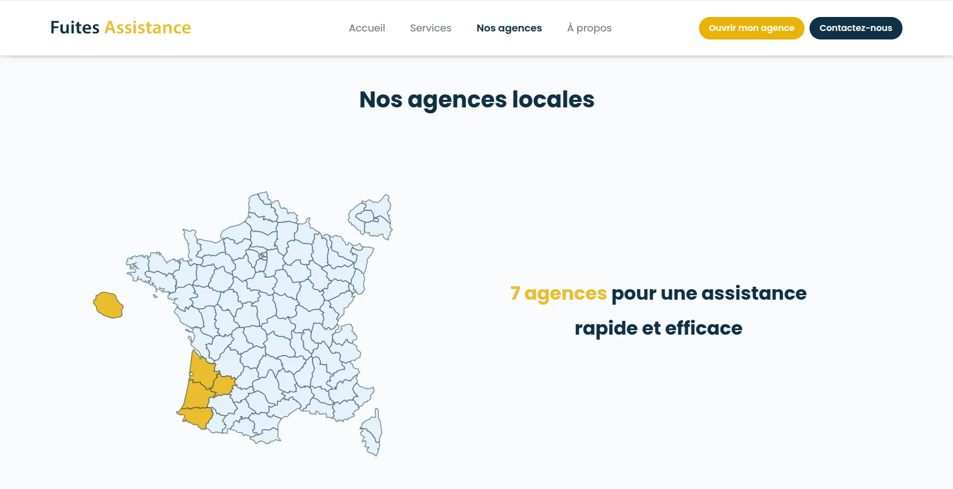 Capture d'écran du projet Fuites Assistance
